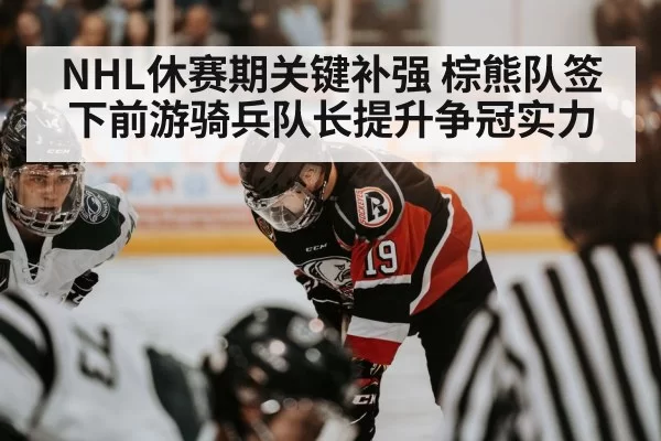 NHL休赛期关键补强 棕熊队签下前游骑兵队长提升争冠实力